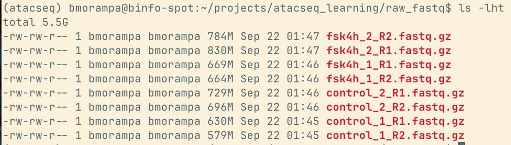 Terminal listing of control_1, control_2, fsk4h_1 and fsk4h_2, each with an R1 and R2 compressed FASTQ.